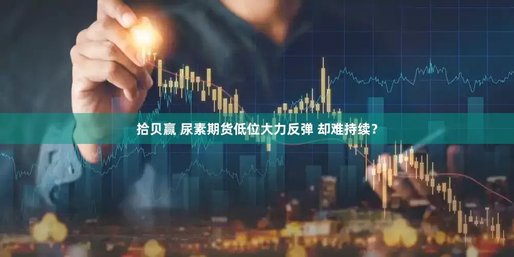 拾贝赢 尿素期货低位大力反弹 却难持续？