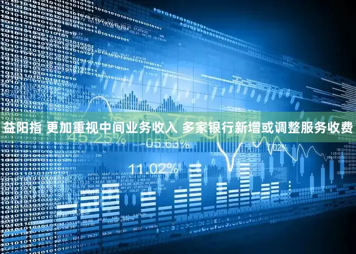 益阳指 更加重视中间业务收入 多家银行新增或调整服务收费
