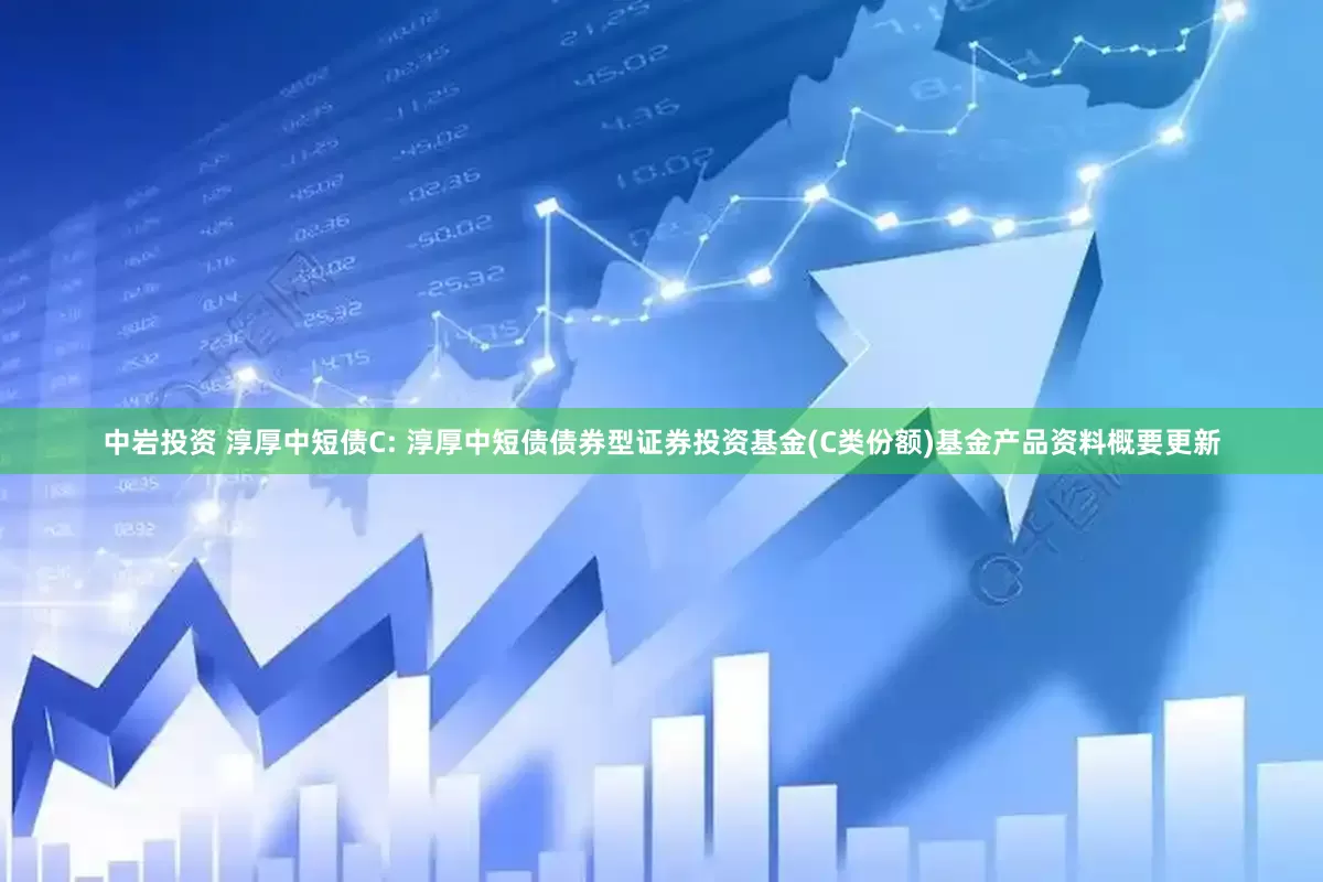 中岩投资 淳厚中短债C: 淳厚中短债债券型证券投资基金(C类份额)基金产品资料概要更新