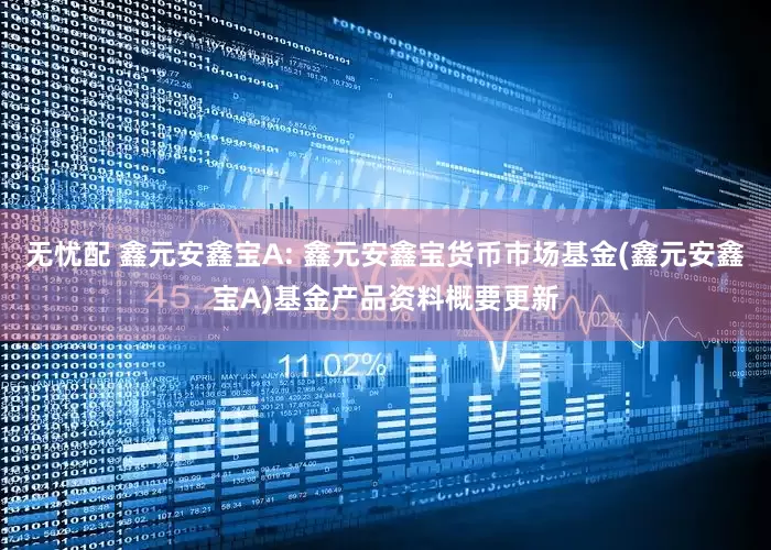 无忧配 鑫元安鑫宝A: 鑫元安鑫宝货币市场基金(鑫元安鑫宝A)基金产品资料概要更新