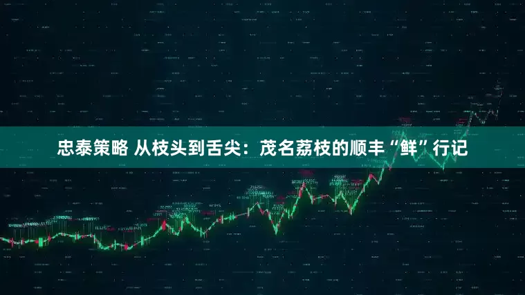 忠泰策略 从枝头到舌尖：茂名荔枝的顺丰“鲜”行记