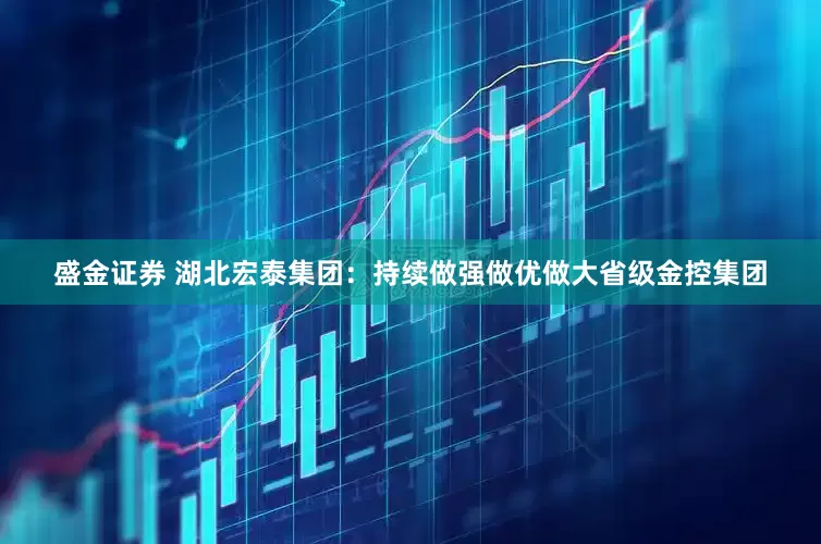 盛金证券 湖北宏泰集团：持续做强做优做大省级金控集团