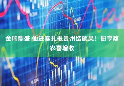 金瑞鼎盛 仙进奉扎根贵州结硕果！册亨荔农喜增收
