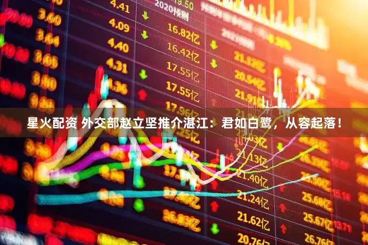星火配资 外交部赵立坚推介湛江：君如白鹭，从容起落！